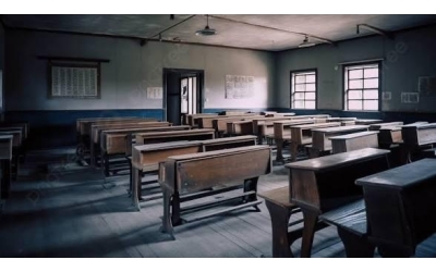 Okul şiddeti, Dijital radikalizayon, toplumsal dejenerasyon