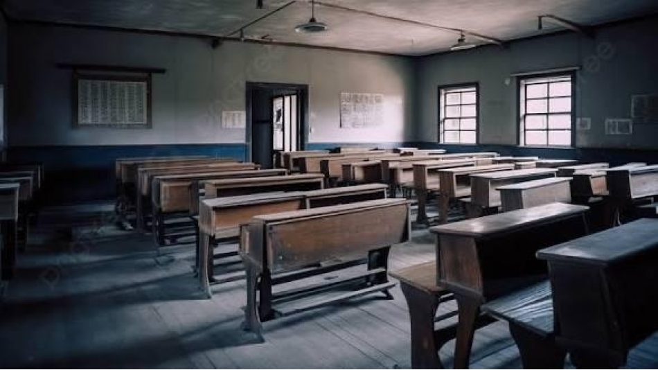 Okul şiddeti, Dijital radikalizayon, toplumsal dejenerasyon